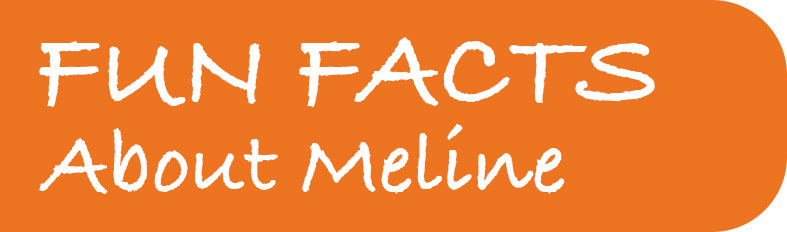 Fun Facts about Meline