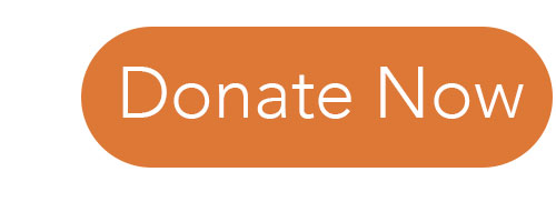 Button - Donate Now